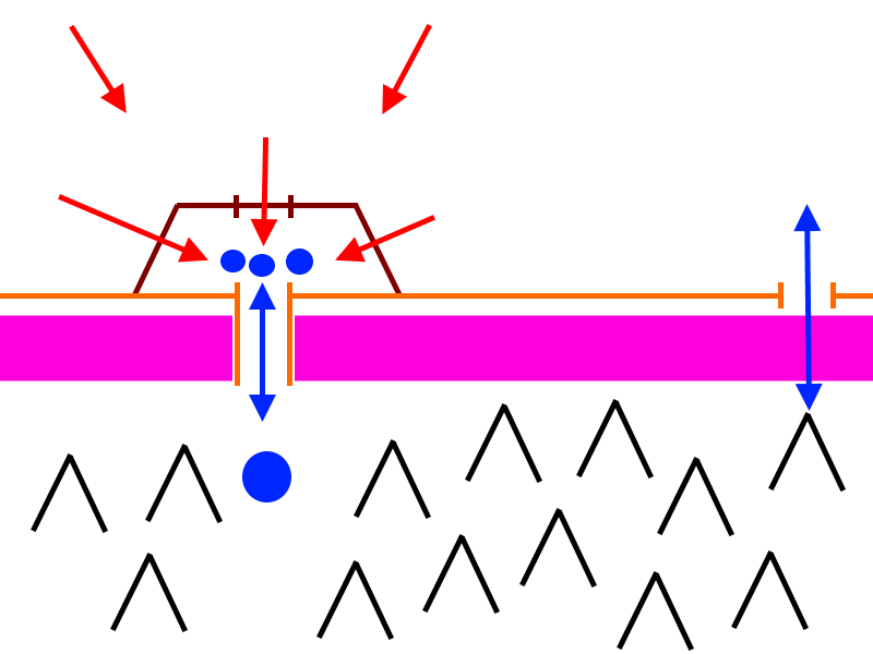 Combat Phase 2 - The Palisade is passed Combat Phase 2 - The Palisade is passed